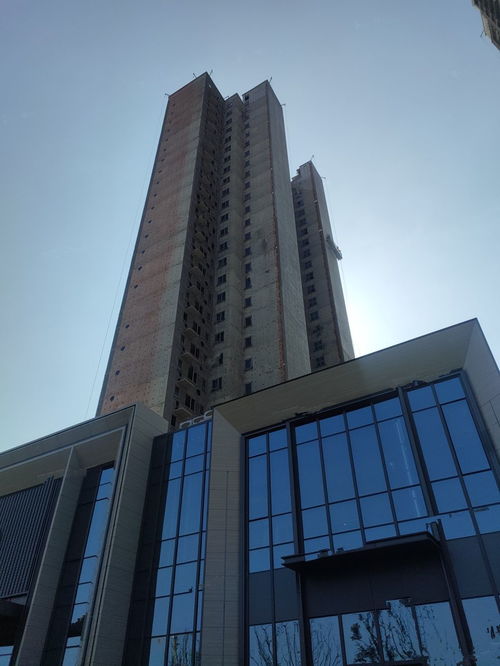 青岛保利源诚领秀山 诚和源双品牌共筑山居生活新典范